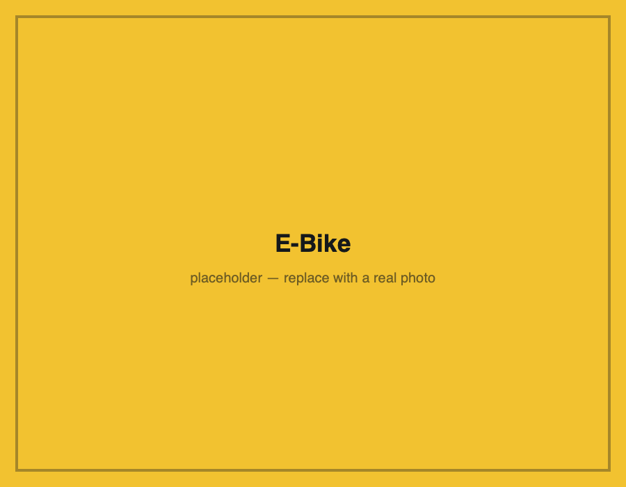 Electric rental bike