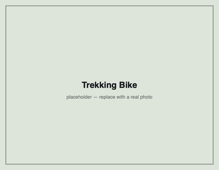 Trekking rental bike